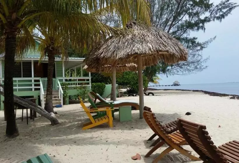 هاستل Village Inn