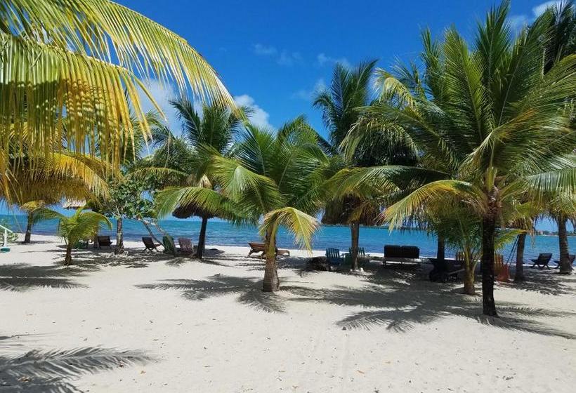 فندق صغير Village Inn