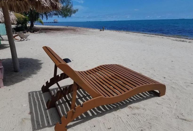 فندق صغير Village Inn