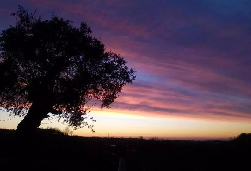 ホテル Agriturismo Althea