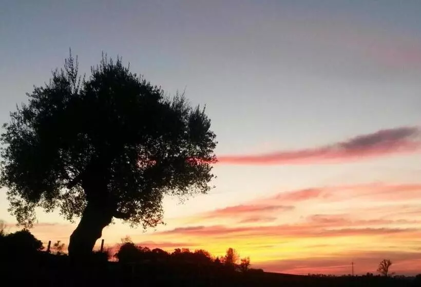 ホテル Agriturismo Althea