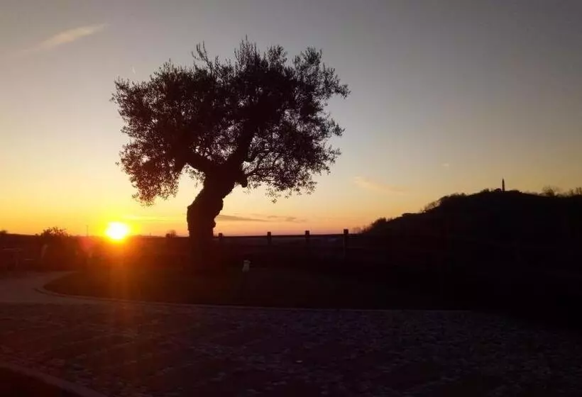 ホテル Agriturismo Althea