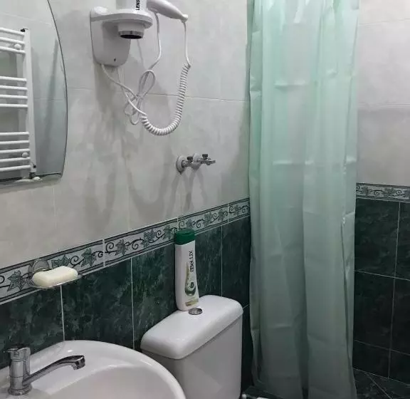 Max Hotel Gogi Alibegashvili