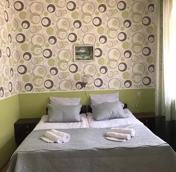 Max Hotel Gogi Alibegashvili