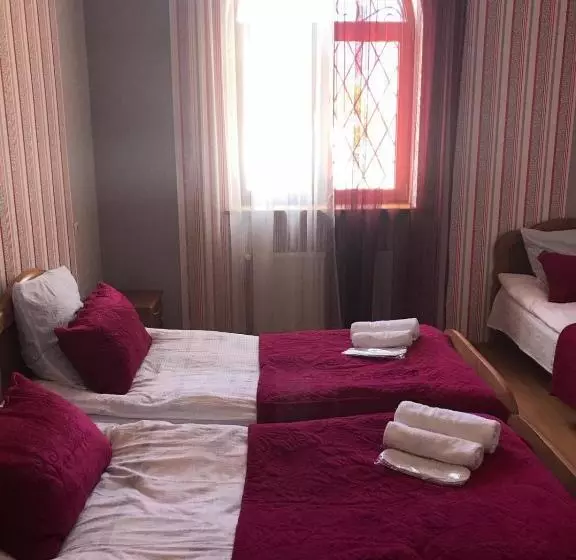 Max Hotel Gogi Alibegashvili
