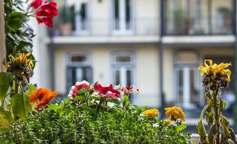 Pensão Casinha Das Flores