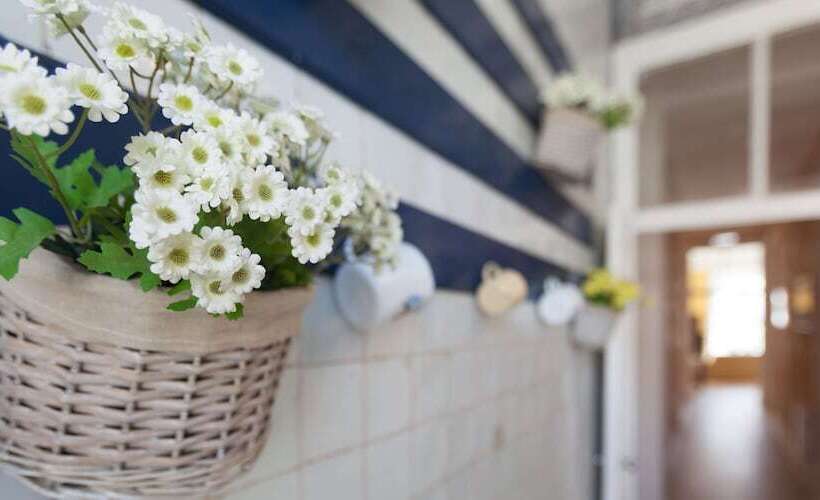 Pension Casinha Das Flores