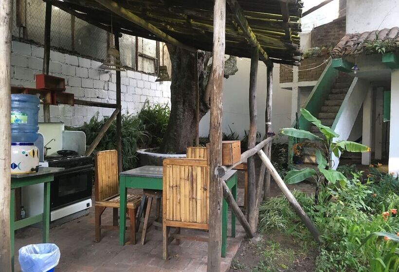 膳宿费 La Petite Auberge Hostel