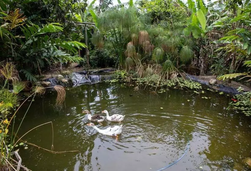 Majatalo Paraty Paradiso