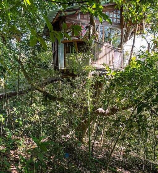 Pensionat Paraty Paradiso