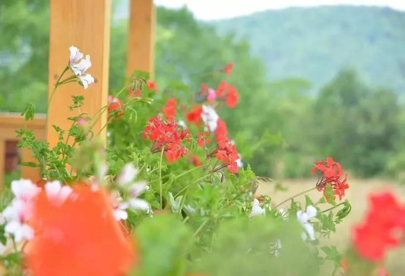 Pensiunea Poezii Alese