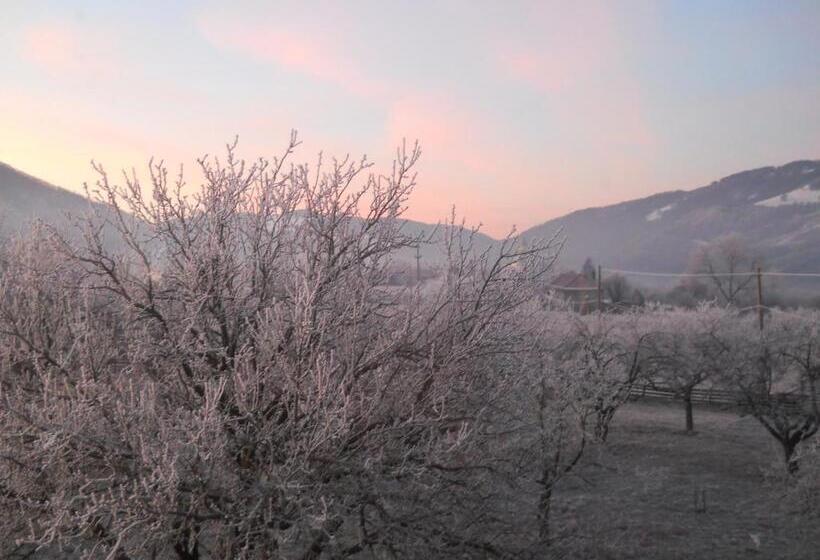 Pensiunea Poezii Alese