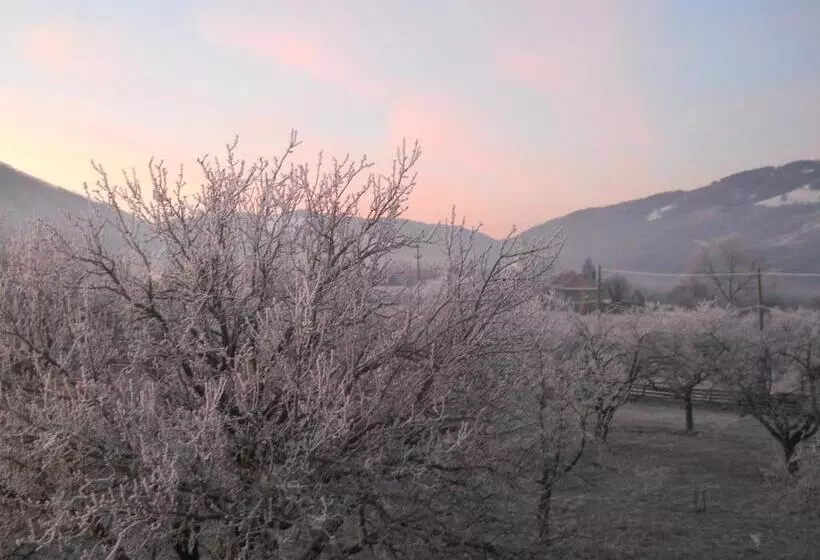 Pensiunea Poezii Alese