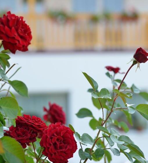 Pensiunea Poezii Alese