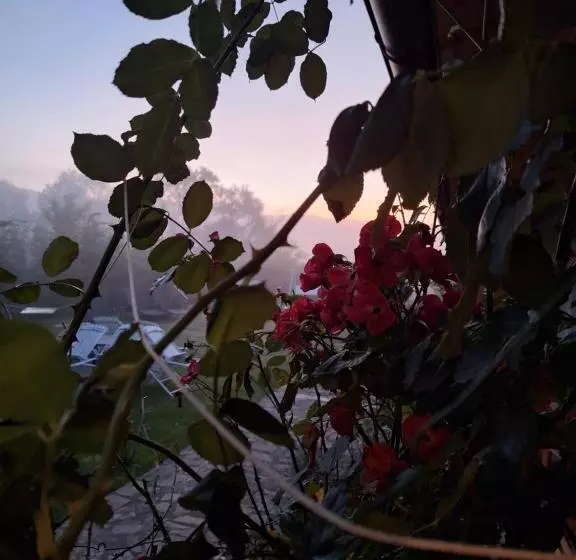 Pensiunea Poezii Alese