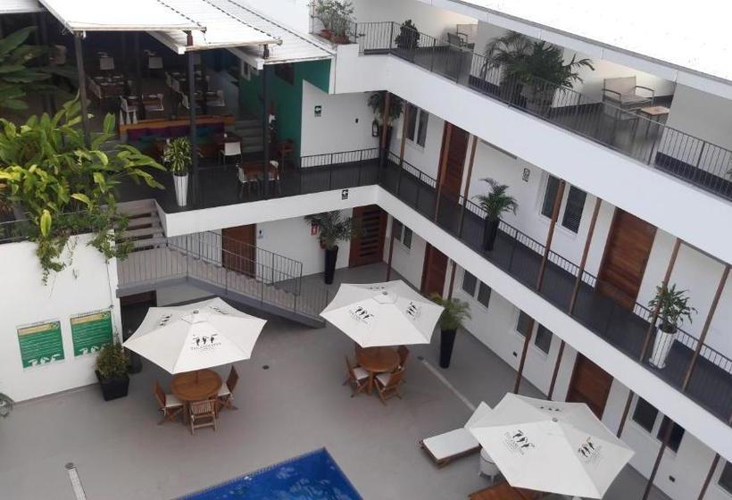 Tucan Suites Tarapoto   Hotel Asociado Casa Andina
