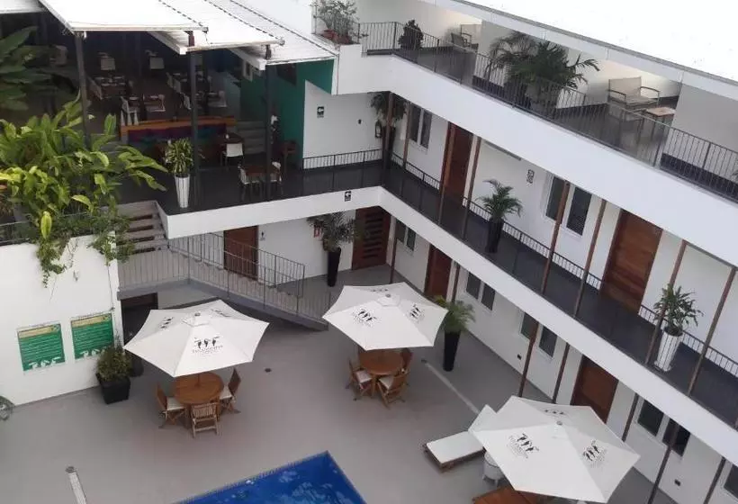 Tucan Suites Tarapoto   Hotel Asociado Casa Andina