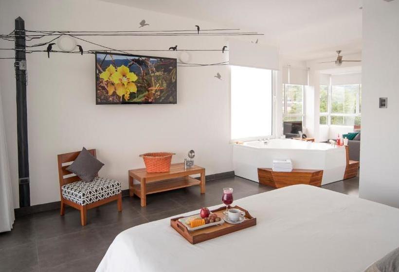 Tucan Suites Tarapoto   Hotel Asociado Casa Andina