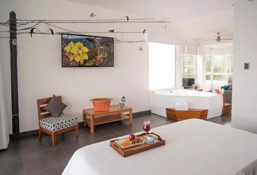 Tucan Suites Tarapoto   Hotel Asociado Casa Andina