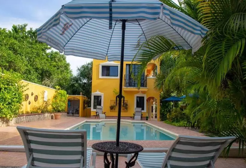 ユースホステル Posada Ya´ax Ich