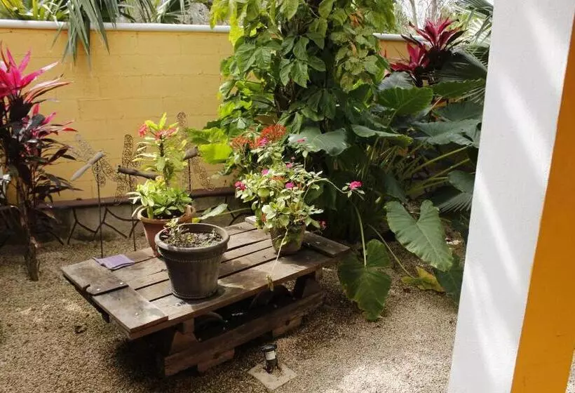 ユースホステル Posada Ya´ax Ich