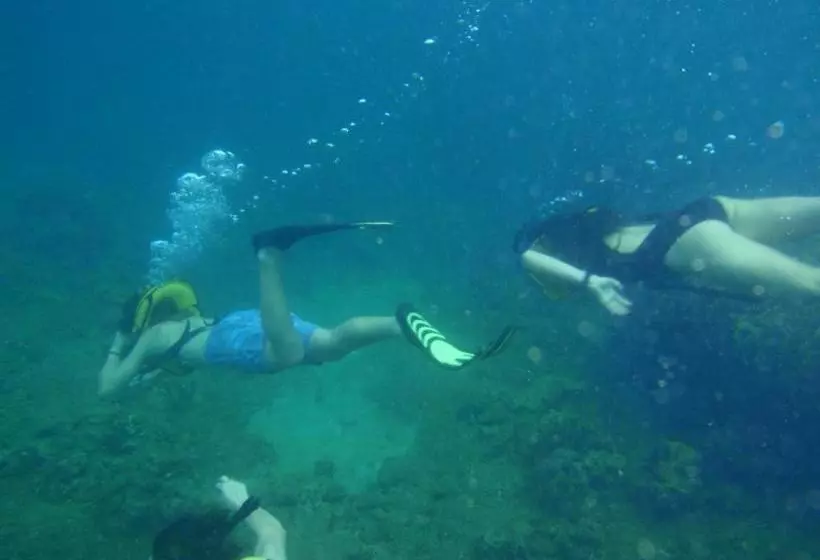 Retkeilymaja Scubaportobelo