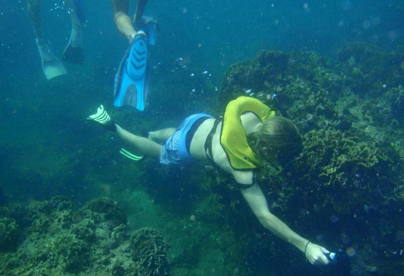 Herberge Scubaportobelo