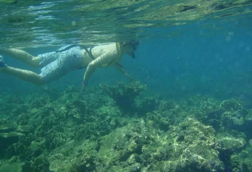 Retkeilymaja Scubaportobelo