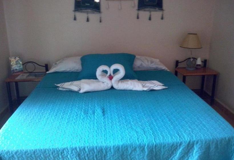 Herberge Scubaportobelo