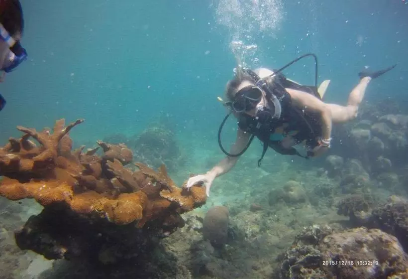 Retkeilymaja Scubaportobelo