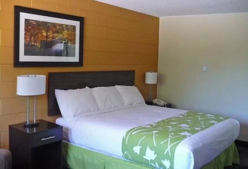 Retkeilymaja Westgate Inn