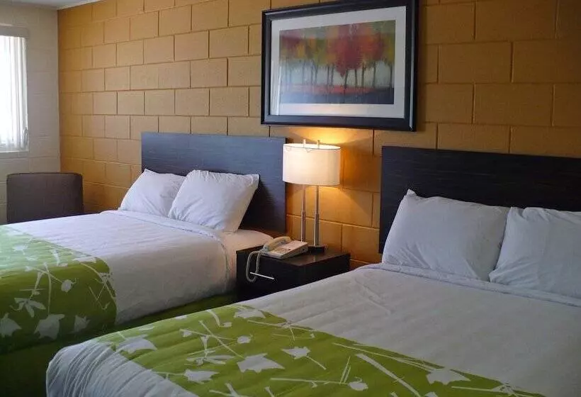 Retkeilymaja Westgate Inn