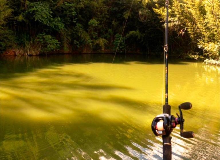 ホテル Pousada Campestre Estância São Domingos