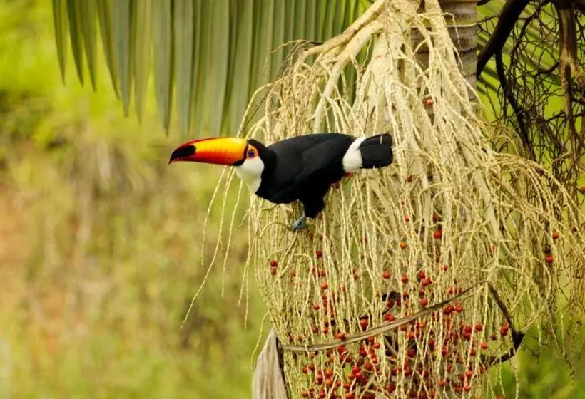 Hotelli Pousada Campestre Estância São Domingos