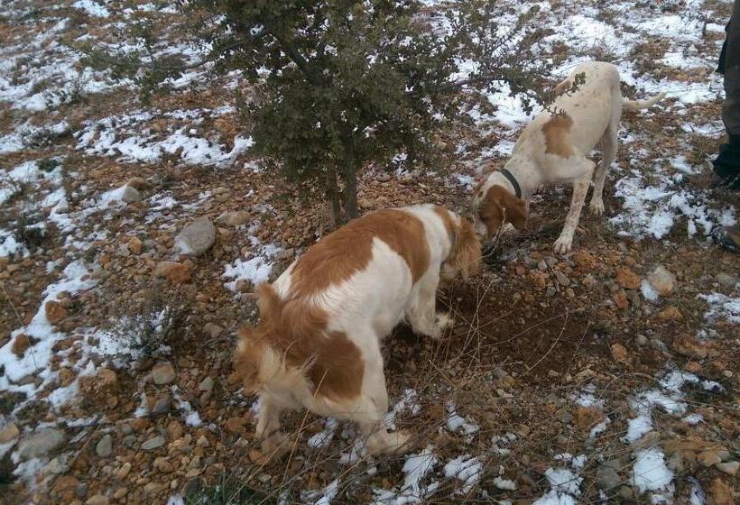 ペンション La Casa De La Estación