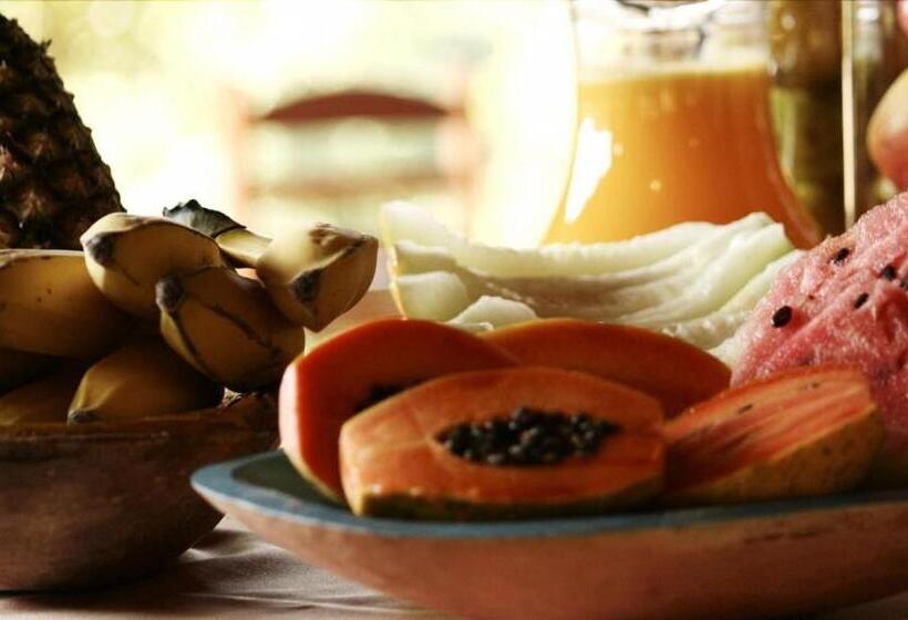 Пансион Pousada Villa Campestre