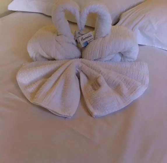 ペンション Pousada Vista Alegre