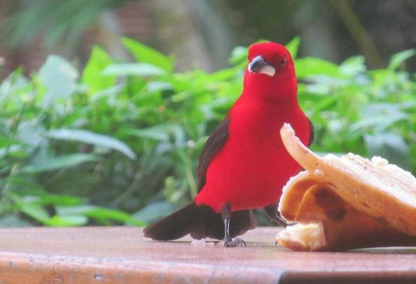 Pansiyon Vila Da Pousadinha