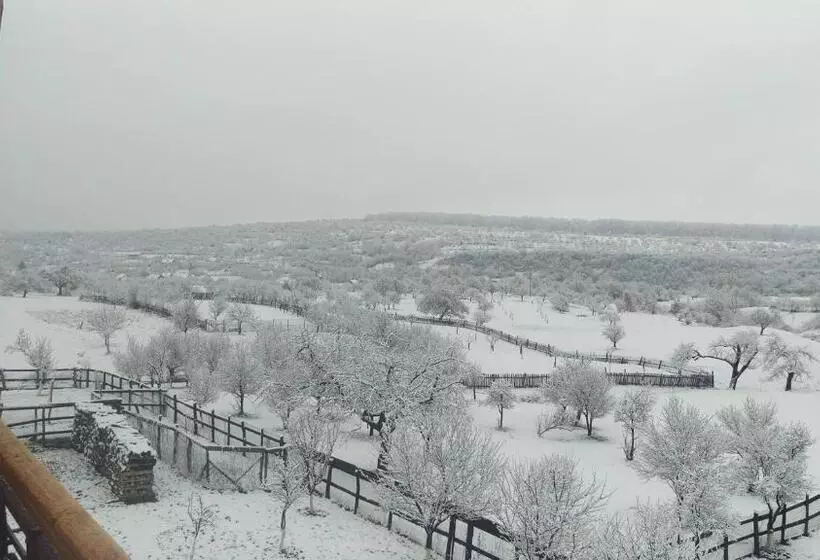 Pensiunea Printul Vlad