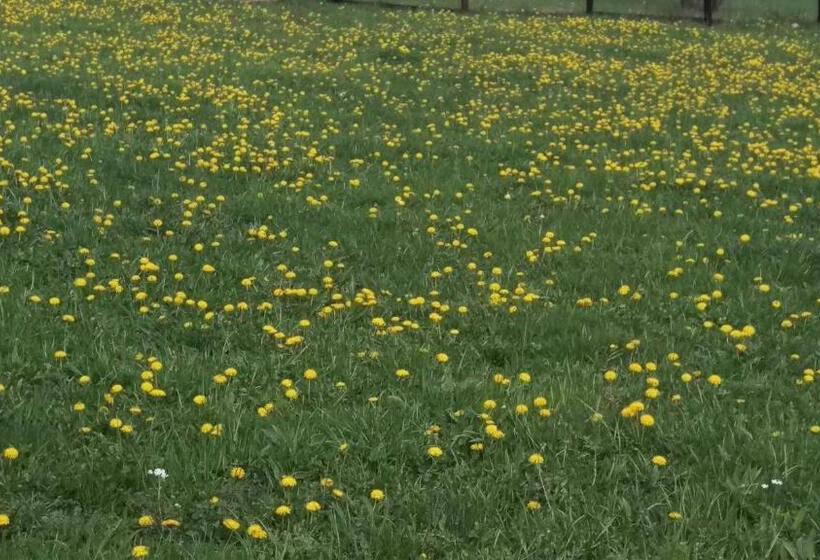 Pensiunea Printul Vlad