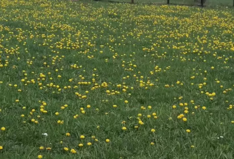 Pensiunea Printul Vlad