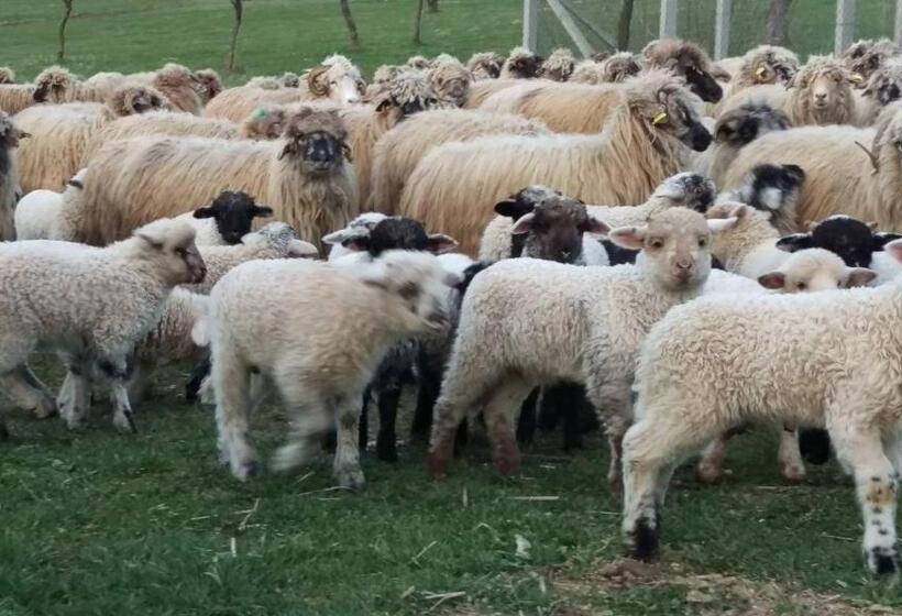 Pensiunea Printul Vlad