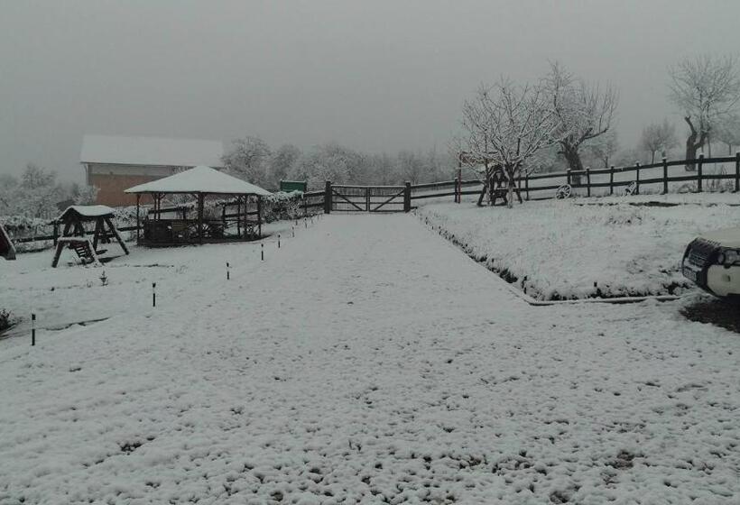 Pensiunea Printul Vlad