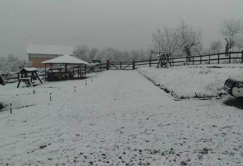 Pensiunea Printul Vlad