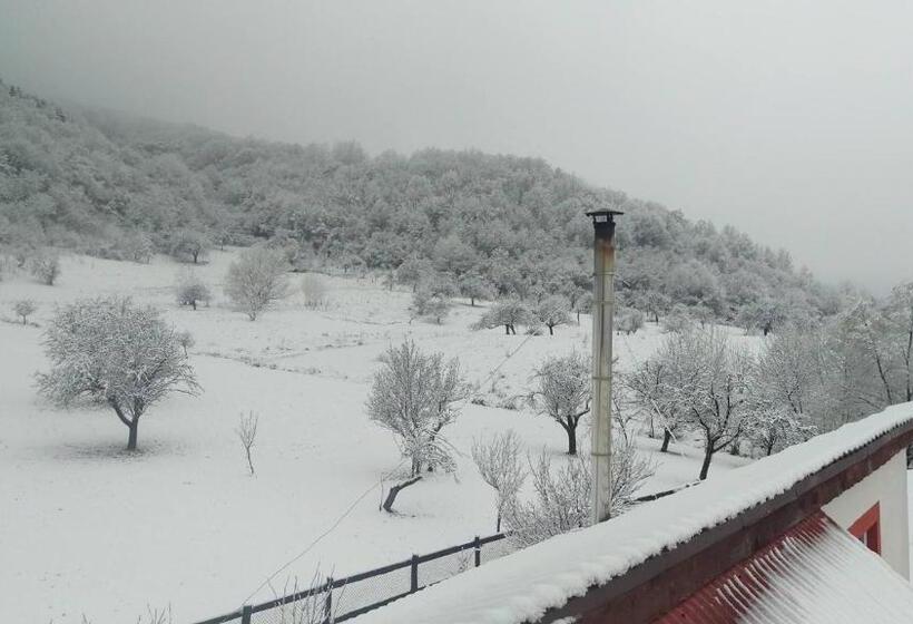 Pensiunea Printul Vlad