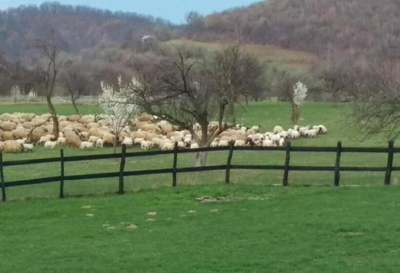 Pensiunea Printul Vlad