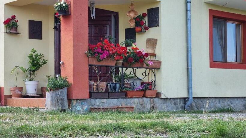 Pensiunea Printul Vlad