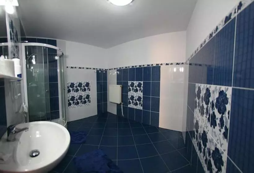 Pensiunea Soferul Norocos