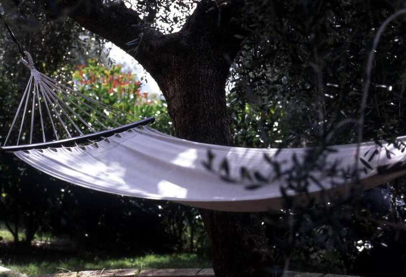 호텔 Agriturismo Uliveto Saglietto