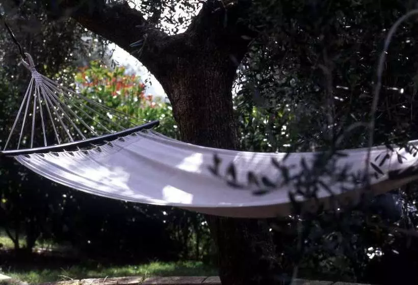 هتل Agriturismo Uliveto Saglietto